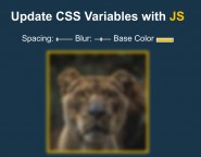 A preview of the Update CSS with JS challenge